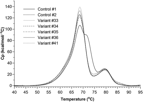 Figure 3. Differential scanning calorimetry on engineered DuetMabs. Thermograms show no difference between control 2 and the engineered variants. Differences between control 1 and control 2 are likely due to the S183K and V133E mutations in the CH1 and Cκ domains, respectively.