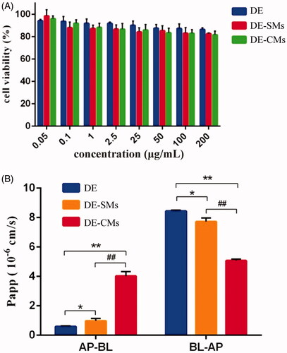 Figure 6. (A) Cell viability of DE, DE-SMs and DE-CMs on Caco-2 cells (n = 3). (B) Permeability of DE, DE-SMs and DE-CMs across Caco-2 cell monolayer (n = 3). *p < .05, **p < .01 versus DE; #p < .05, ##p < .01 versus DE-SMs. DE: dabigatran etexilate; DE-SMs: dabigatran etexilate-loaded single micelles; DE-CMs: dabigatran etexilate-loaded composite micelles; AP-BL: from apical to basolateral; BL-AP: from basolateral to apical.