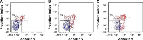 Figure 5 The flow cytometry images of the control group (A), DOX/PTX group (B), and PTX/DOX–LCP group (C).Abbreviations: LCP, lipid-coated hollow calcium phosphate; DOX, doxorubicin; PTX, paclitaxel.