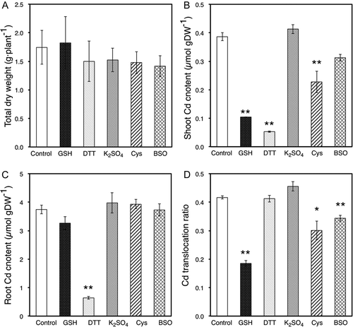 Figure 1. (A) Total dry weight of oilseed rape plants (Brassica napus L.) harvested after 2 d of treatment. (B, C) Cadmium (Cd) content in the shoots (B) and roots (C) of oilseed rape plants harvested after each treatment. (D) Cd translocation ratio of oilseed rape plants. Ratios were calculated from experimental results of dry weights and Cd content in shoots and roots. Data are means ± standard error (SE; n > 4). Values labeled with * and ** are significantly different from those of control plants according to Student’s t-test (*: P < 0.05, **: P < 0.01).