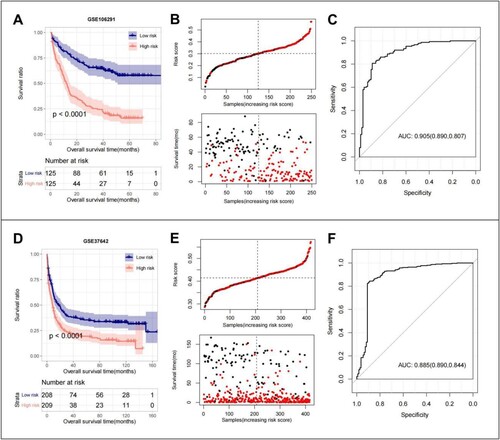 Figure 5. GSE106291 training set: (A) KM curves based on 10 optimized ER-stress related gene prognostic models; (B) RS distribution and survival time status; (C) The ROC curves of 10 optimal ER-stress related gene prognostic models were plotted, and the numbers in parentheses represent the corresponding ROC curves. GSE37642 validation set: (D) KM curves based on 10 optimized ER-stress related gene prognostic models; (E) RS distribution and survival time status; (F) The ROC curves of 10 optimal ER-stress related gene prognostic models were plotted, and the numbers in parentheses represent the corresponding ROC curves.