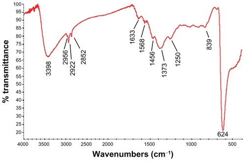 Figure 3 FTIR transmission spectra of the CONPs. The band at 624 cm−1 correlates to the stretching vibration of the CONPs.Notes: Moreover, there were also some stretching bands. The other bands at 3398 cm−1, 2992 cm−1, 1373 cm−1, and 839 cm−1 are probably due to the carbonate moieties and water that are generally observed, when FTIR samples are measured in air.Abbreviations: CONPs, cuprous oxide nanoparticles; FTIR, Fourier transform-infrared.