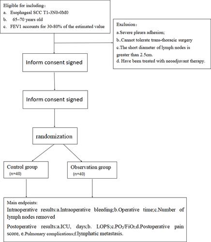 Figure 1 The flow chart for the trial.