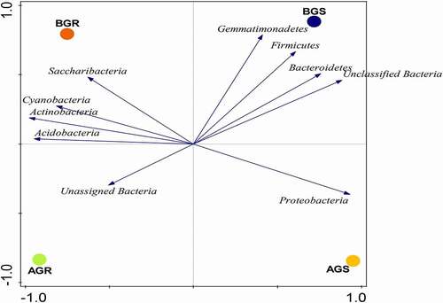 Figure 4. PCA plot of endophytic bacterial phyla associated with growing sunflower. The observed variance is represented on Axis 1 (88.5%) and Axis 2 (10.1%). Key: AGR = root samples from Itsoseng, BGR – root samples from AGS – stem samples from Itsoseng, Lichtenburg, BGS – stem samples from Lichtenburg.