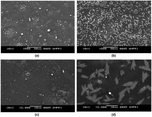 Figure 6. SEM images of plain (AD-X-CAS) film and GS loaded (AD-X-CAS) film at (a) and (b) 500×; (c) and (d) 1000× magnifications respectively.