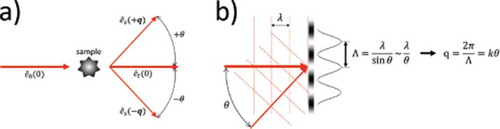 Figure 3. (a) Scattering layout and (b) Fourier Optics approach to Heterodyne Near Field Speckles. Each Fourier component with wave vector q of heterodyne speckles arises from the interference of the intense trans-illuminating beam (thicker arrows) with the faint plane waves (thinner arrows) scattered by the sample along the symmetric wave vectors ±q