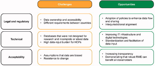 Figure 1. RWD challenges and opportunities in East Asia. Abbreviations. HCP, healthcare professional; IT, information technology; RWD, real-world data; RWE, real-world evidence.