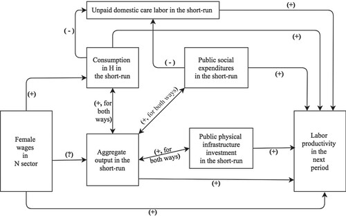 Figure 2 The effects of women’s wages in N on labor productivity in the medium run