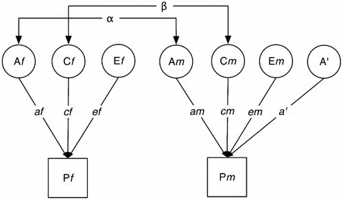 Figure 2. Univariate genetic sex limitation model. A, C, and E are latent variables representing additive genetic, shared environmental and unique variance. A′ is a sex-specific latent variable, able to account for genetic effects present in one sex but not the other. Pf and Pm are the observed phenotypes of the two twins, distinguished by sex (f = female, m = male) for dizygotic twins (DZs) differing in sex. Alpha (α) is the genetic correlation between the two twins, set at 1 for monozygotic (MZ) and .5 for DZ twins. β is the shared environmental coefficient, set at .5 for all twins (all twins in this sample shared the same home environment). Parameters af, cf, ef, and am, cm, em, and a′ are the path coefficients that we estimate under a maximum likelihood model, and which, in standardised form, represent our estimates of the genetic, common, and unique sources of variance for the reading and spelling phenotypes. In the analyses presented here, a model in which the a, c, and e path coefficients were allowed to differ between the sexes was estimated as the saturated model against which less complex models were tested.