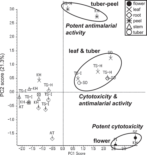 Figure 5. PCA result of potato extracts based on biological activities performed based on the activities at concentration of 30 μg/mL.