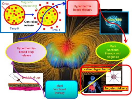 Figure 1 A schematic representation of some of the unique advantages of magnetic nanomaterials for hyperthermia-based therapy and controlled drug delivery.Abbreviation: BBB, blood–brain barrier.