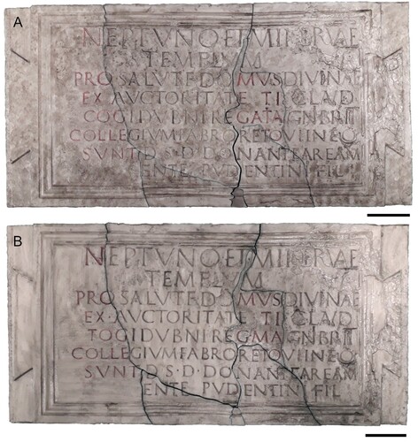 Figure 6. 3D Prints of old and new interpretations: A = Old; B = New. Scale bars equal to 5 mm.