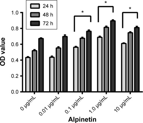 Figure 4 Alpinetin can promote the HPMVEC proliferation.