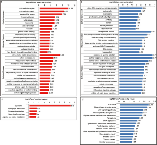 Figure 3. Bioinformatics information of differentially expressed proteins (a) GO-based enrichment analysis of up-regulated proteins. (b) GO-based enrichment analysis of down-regulated proteins. (c) KEGG pathway-based enrichment analysis of up-regulated proteins. (d) KEGG pathway-based enrichment analysis of down-regulated proteins. Red indicates up-regulated differential protein while blue indicates down-regulated differential protein.