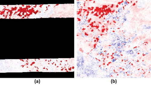 Figure 11. Change maps for a 7 km × 7 km area in Liwale. Red = reduction in vegetation height, blue = increase in vegetation height, white = unchanged. (a) ALS 2012–2014, up to 13.7 m reduced average height (darkest red) was measured within 30 m × 30 m pixels. The largest increase was 2.7 m (darkest blue). Black is no data. (b) Difference for 2012–2014 estimated from Kalman filtered multi-sensor time series, differences range from −8.6 to 5.2.