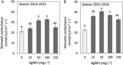 Figure 3. Impacts of silver nanoparticles’ (AgNPs) various concentrations on stomatal conductance of tulip in seasons 2014–2015 (A) and 2015–2016 (B). Vertical bars indicate the mean ± standard deviation (n = 4). A different letter above each bar indicates a significant difference between treatments at P ≤ 0.05.
