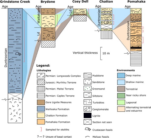 Figure 2. Stratigraphic and paleoenvironmental correlation chart of the studied locations from the Late Oligocene in the Southland Basin, South Island, New Zealand. The sections are modified from Suggate et al. (Citation1978), Isaac and Lindqvist (Citation1990), Lee et al. (Citation2014), Gard (Citation2016) and Lindqvist et al. (Citation2016). Horizontal distances are not to scale.