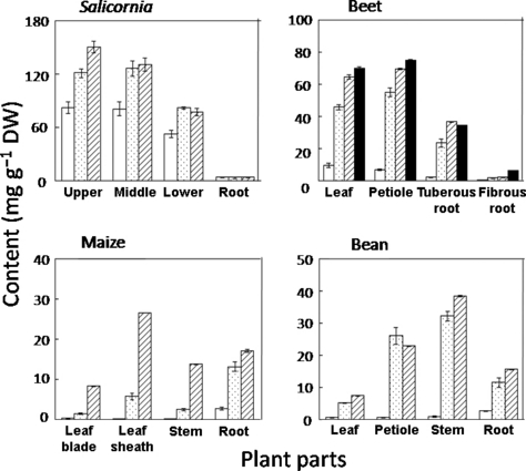 Figure 5 Sodium distribution in the plant organs. Each beet, maize and bean plant was divided into four parts; Salicornia was divided into three parts. Salicornia was divided into upper, middle and lower parts of shoots and roots. Beet was divided into leaf, petiole, tuberous root and fibrous root. Maize was divided into leaf blade, leaf sheath, stem and root. Bean was divided into leaf, petiole, stem and root. Values are mean ± standard error (n = 5). CO, control (□); DW, dry weight; SA, saline soil (□); SO, sodic soil (□); HSO, highly sodic soil (□).