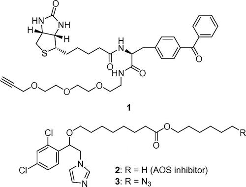Fig. 2. Structures of linker 1, AOS inhibitor 2, and azide probe 3.