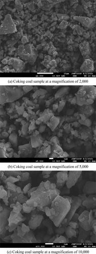 Figure 3. Scanning electron microscopy images of the coal dust samples at different magnifications.