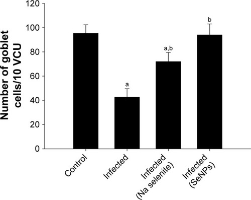 Figure 5 Changes in the number of jejunal goblet cells in control mice, infected mice, and infected mice treated with NaSe and SeNPs. N=5.Notes: Values are mean±standard error of the mean. ap<0.05, significant change with respect to control group; bp<0.05, significant change with respect to infected group.Abbreviations: NaSe, sodium selenite; SeNPs, selenium nanoparticles.