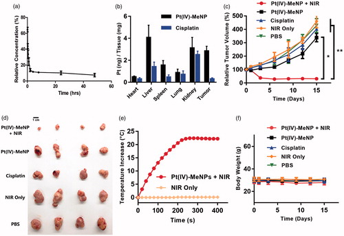 Figure 5. In vivo chemo-photothermal therapy treatment of tumour by using Pt(IV)-MeNPs. (a) The blood circulation of Pt(IV)-MeNPs. (b) The biodistribution of the tumour and main organs of PC3 xenograft tumour-bearing nude mice sacrificed at 24 h post-injection of Pt(IV)-MeNPs or cisplatin at 24 h post-injection. (c) The tumour volume evolution of mice in different groups during the therapeutic period. (d) Photographs of the excised tumours of mice after sacrifice. (e) Curves of tumour temperature increase after NIR irradiation for the groups treated with Pt(IV)-MeNPs + NIR or NIR only. (f) The body weight changes of mice during the therapeutic period. *p < .05 and **p < .01 were calculated by Student’s t-test.