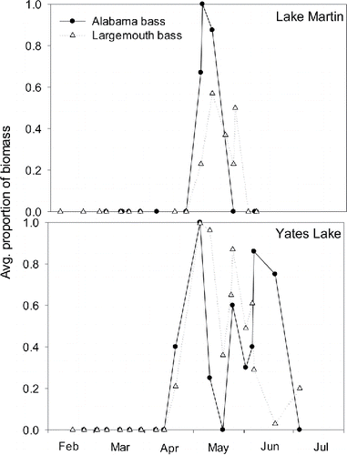 Figure 7. The proportion of diet biomass contributed by yellow perch in diets of Alabama bass and largemouth bass in both Lake Martin and Yates Lake during 2011.