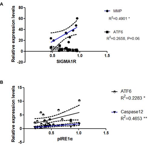 Figure 6 Associations between expression levels of Sigma-1R and MMP, and that of pIRE1α and ATF6 and caspase 12. (A) Correlations between Sigma-1R and MMP and ATF6. *P < 0.05. (B) Correlations between the pIRE1α and ATF6 and caspase12. *P < 0.05, **P 0.01.