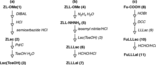 Figure 1.  Synthetic procedures of ZLLLal and Its analogues. Synthetic procedures of Lsc(TosOH) (a), ZLLLal (b) and FuLLLal (c) are schematically shown. DIBAL, diisobutylaluminum hydride; Pd/C, activated palladium/charcoal; N2H4 H2O, hydrazine hydrate; HOBt, 1-hydroxybenzotriazole; DCC, dicyclohexylcarbodiimide.