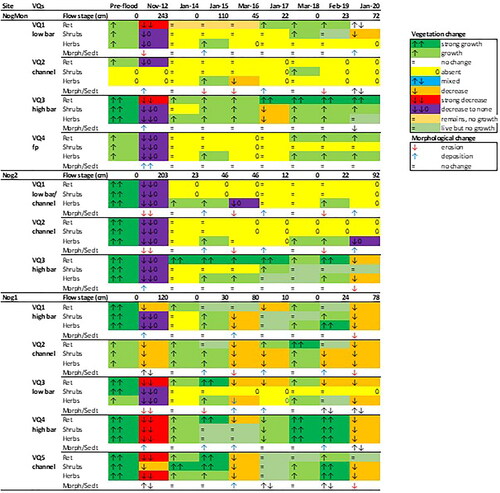 Figure 11. Changes in state of plants in vegetation groups, Retama, shrubs and herbs, recorded on each vegetation quadrat in the three study sites in the period January 2012-January 2020.