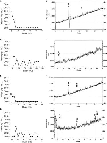 Figure 12.  Separation by affinity chromatography and capillary electrophoresis of teliospore receptors for HMMG and MMMG obtained from inoculated plants (A) Elution profile of non-retained, smut ligands from agarose beads containing HMMG from inoculated plants, and (B) its electropherogram. (C) Elution profile of retained, smut ligands on agarose beads containing HMMG from inoculated plants and eluted with N-acetyl-D-glucosamine and (D) the electropherogram of this eluted fraction. (E) Elution profile of non-retained, smut ligands from agarose beads containing MMMG from inoculated plants, and (F) its electropherogram. (G) Elution profile of retained, smut ligands on agarose beads containing MMMG from inoculated plants and eluted with N-acetyl-D-glucosamine and (D) the electropherogram of this eluted fraction. Black arrow indicates the migration time value of the internal standard.