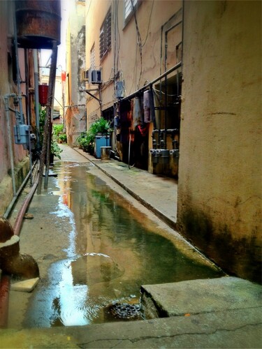 Figure 3. The flooded laneway. Photo taken by author.