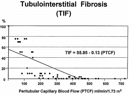 Figure 1. Illustrates the correlation between peritubular capillary flow and tubulointerstitial fibrosis.