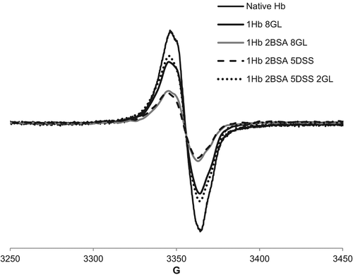 Figure 6. EPR spectra of 200 μM protein treated with 500 μM H2O2 in PBS and frozen at 30 s after mixing.