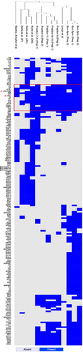 Fig. 5.  Hierarchical clustering of plasma data sets. The 13 data sets of proteomic data on plasma-derived exosomes were clustered after removal of proteins that were detected in only one of the data sets. For the remaining 182 proteins, a distance matrix based on their presence/absence was built using a binary method. The calculated distances were used to generate the hierarchical cluster. The red rectangle highlights the proteins that were more frequently detected (≥9). The red arrows indicate 2 proteins, CD5 antigen-like (CD5L) and galectin-3 binding protein (LGALS3BP).