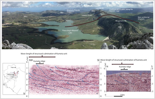 Figure 7. (a) Panoramic view of the eastern sector of the study area. On the right side, the Kumeta ridge and on the left side the main outcrop of the Imerese succession. In this area, we can observe the structural relationships between the Imerese and Trapanese tectonic units (IMU and TPU, respectively). On the central-left side, we drew the Mirabella-Pizzuta lineament along which the Pizzuta tectonic unit overrides the Leardo tectonic unit. From this observation point, we can depict the geometry of the bending coming from the Trapanese units thrusting and uplifting: the red line depicts the wavelength of folds involving the buried carbonate platform succession; otherwise, the white line outlines the shorter wavelength folding which characterize the Kumeta ridge. Interpreted seismic reflection profiles (traces in b) across the central (c) and the eastern (d) sectors of the Kumeta ridge (modified from CitationCatalano et al., 2000).