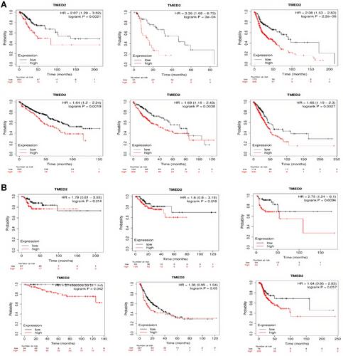 Figure 2 Correlational analysis of TMED2 dysregulation with OS and RFS in distinct cancer subtypes. (A) Correlational analysis of TMED2 dysregulation with OS in distinct cancer subtypes, and (B) Correlational analysis of TMED2 dysregulation with RFS in distinct cancer subtypes. A p-value < 0.05 was considered as significant.