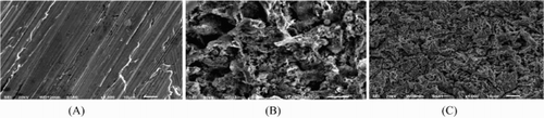 Figure 10. SEM portraits of α-brass surface: (a) polished α-brass before of inundation in 1 M HNO3, (b) after 24 h of inundation in 1 M HNO3 and (C) after 24 h of inundation in 1 M HNO3+ 300 ppm PEG.