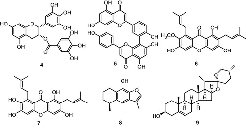 Figure 2. The structures of egcg (4), amentoflavone (5), α-mangostin (6), γ-mangostin (7), cacalol (8), and diosgenin (9).