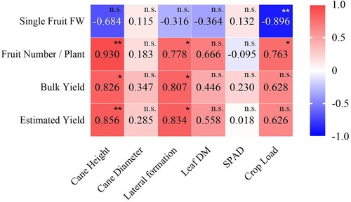 Figure 3. Pearson’s correlation analysis of vegetative growth and productivity parameters in raspberry plants. * and ** represent significant correlations at the p < 0.05 and p < 0.01 levels, respectively (two-tailed). n.s. denotes not significant.