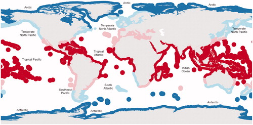 Figure 6. Biogeographic subdivisions of marine biodiversity, modified from those described by Spalding et al. (Citation2007). Dark blue = Arctic; light blue = cold-temperate; pink = warm-temperate; red = tropical.