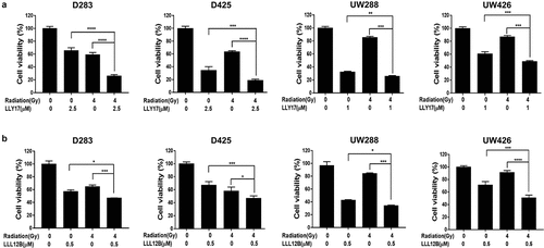 Figure 2. LLY17 or LLL12B and irradiation combination treatment significantly inhibited cell viability in human medulloblastoma cells. Cells were seeded and cultured overnight in 96-well plates. Non-irradiated cells or irradiated (4 Gy) cells were treated with LLY17, LLL12B, or DMSO for 72 hours. The combination effects of irradiation and LLY17 (a) or LLL12B (b) on cell viability were determined by MTT assay. Experiments were performed in triplicate and data are presented as means ± SD. *P < .05, **P < .01, ***P < .001, ****P < .0001