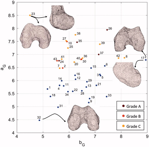 Figure 5. aG versus bG graph along with sample distal femur surfaces. Blue dots indicate patients diagnosed with no dysplasia.