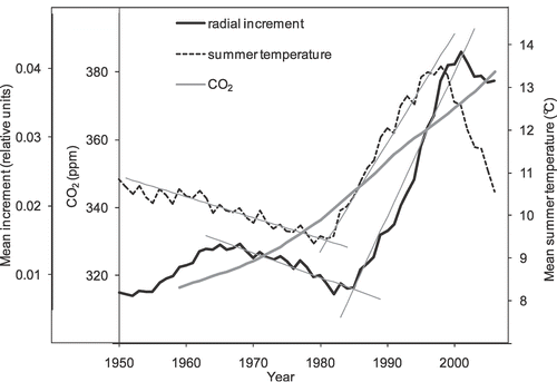 FIGURE 8 The dynamics of radial increment, summer temperature, and CO2. Trends in radial increment and summer temperature are shown by straight lines. Data were passed through an exponential filter with a three year window size. The filter shifted the extreme position for about two years.