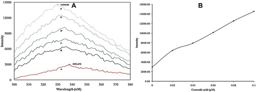 Figure 6 Intrinsic fluorescence study: (A) Spectra of sPLA2IIa enzyme alone (a); and with corosolic acid of 0.02µM (b), 0.04µM (c), 0.06µM (d), 0.08µM (e) and 0.1µM (f) concentrations. (B) Maximum fluorescence emission of the sPLA2IIa enzyme upon addition of each concentration of corosolic acid.