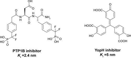 Figure 1 Examples of potent PTP inhibitors.