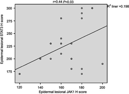 Figure 7 Correlation between epidermal JAK1 and STAT3 H-scores in lesional psoriatic skin sections in psoriatic patients.