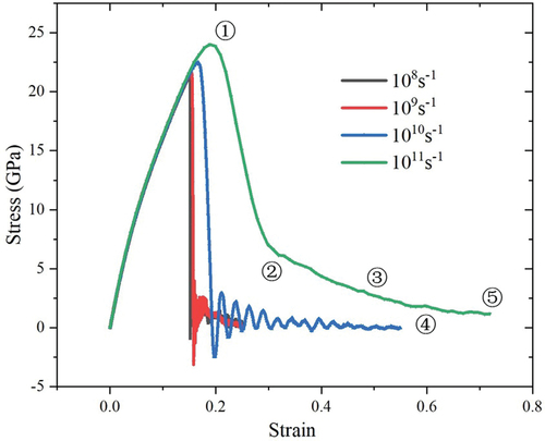 Figure 2. Stress–strain curve under tensile loading.