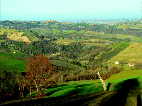 Figure 1. View of part of the study area, showing patches of woods and pre-wooded communities in a landscape matrix mainly composed of cultivated lands.