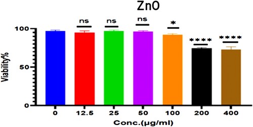 Figure 9. The cytotoxic effect of ZnO on HdFn cell line.
